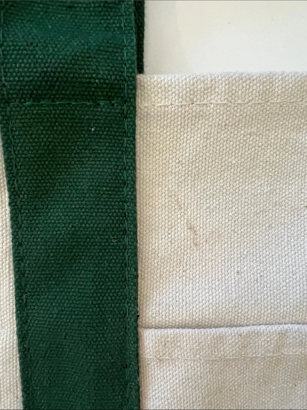 Trader Joe's Green & Cream Canvas Tote Bag